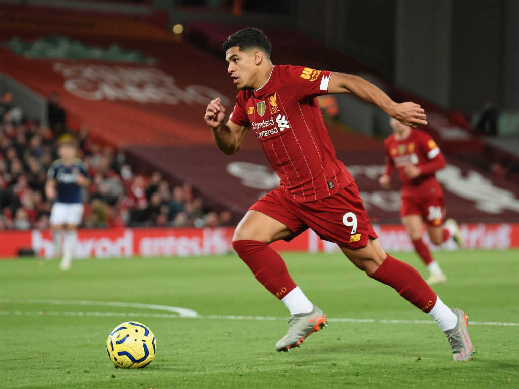 把控后场的 把控后场的